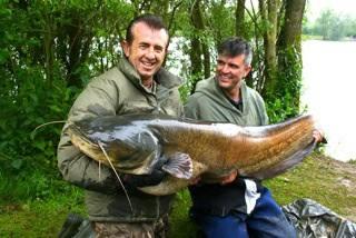 Frank Warwick - 969755102010696578928301445476212n.jpg